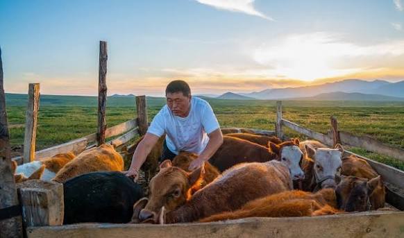 MY INTERVIEW WITH LIVESTOCK TRENDS: LESSONS FOR ASPIRING FARMERS